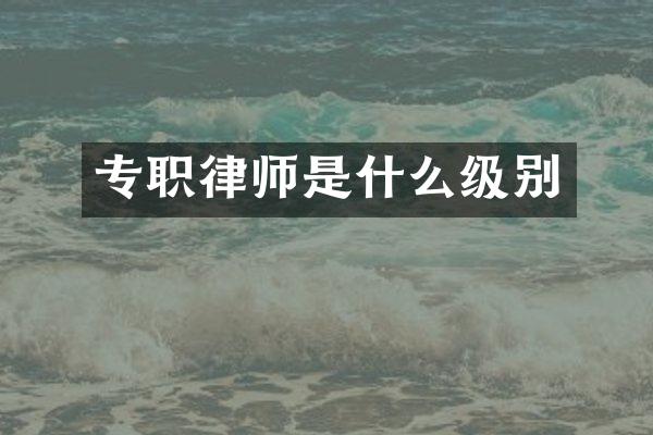 专职律师是什么级别