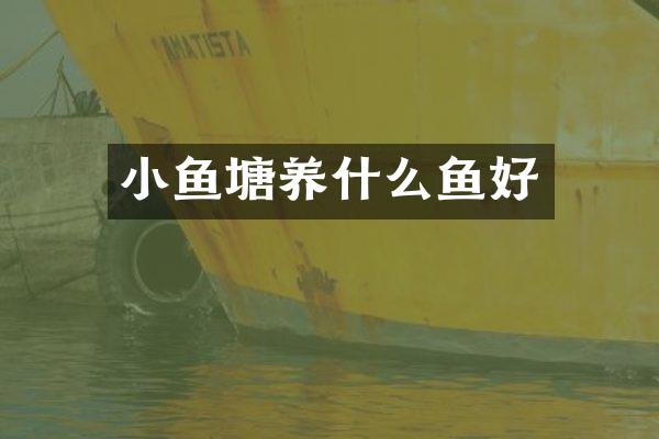 小鱼塘养什么鱼好