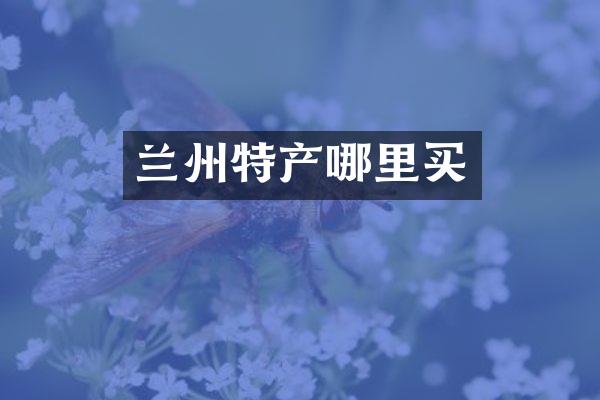 兰州特产哪里买