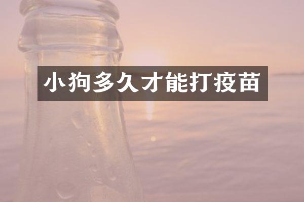 小狗多久才能打疫苗