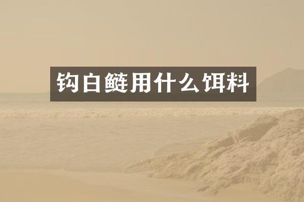 钩白鲢用什么饵料