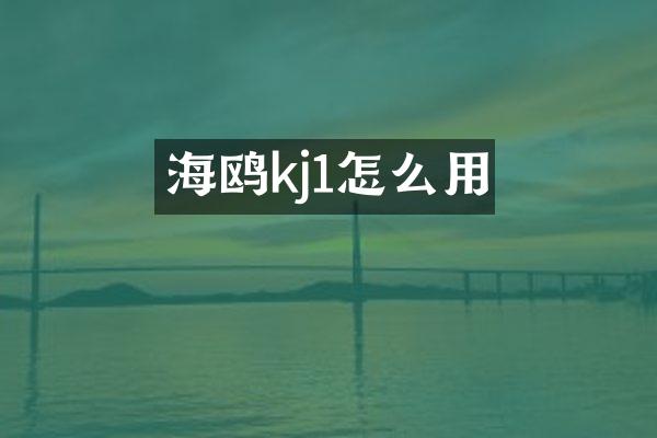 海鸥kj1怎么用