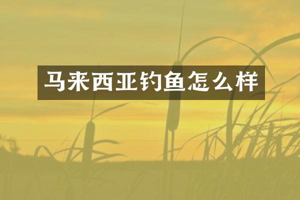 马来西亚钓鱼怎么样