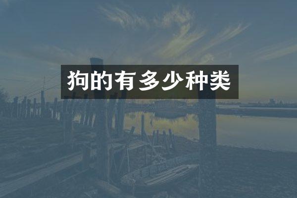 狗的有多少种类