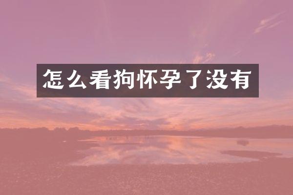 怎么看狗怀孕了没有