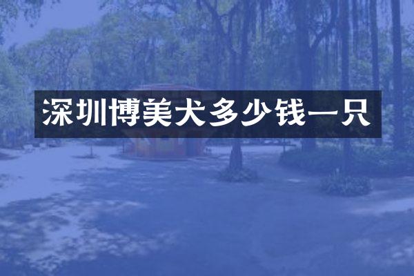 深圳博美犬多少钱一只