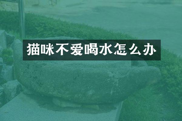 猫咪不爱喝水怎么办