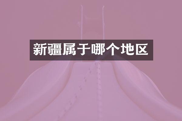 新疆属于哪个地区