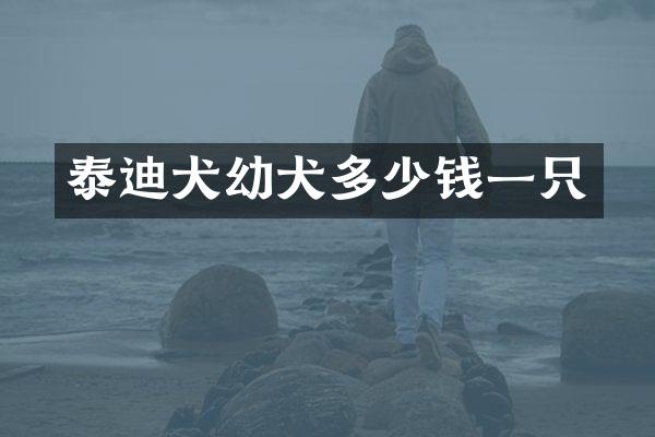 泰迪犬幼犬多少钱一只