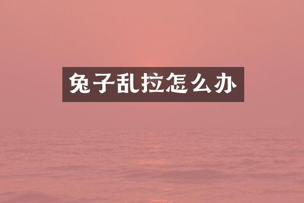 兔子乱拉怎么办