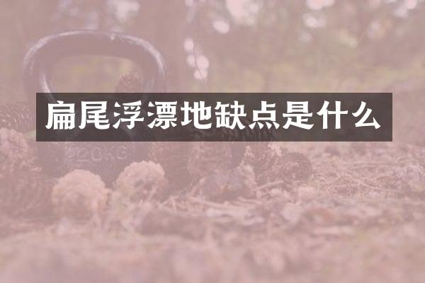 扁尾浮漂地缺点是什么