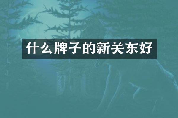 什么牌子的新关东好