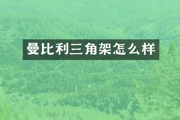 曼比利三角架怎么样