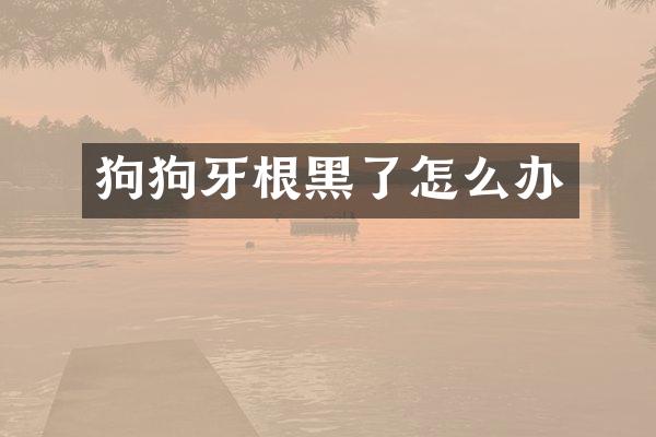 狗狗牙根黑了怎么办