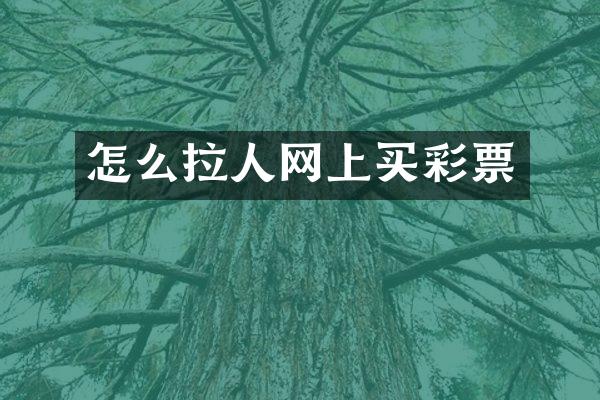 怎么拉人网上买彩票