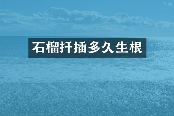 石榴扦插多久生根