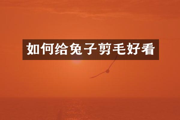 如何给兔子剪毛好看