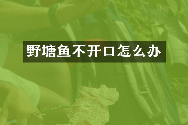 野塘鱼不开口怎么办