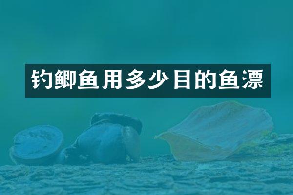 钓鲫鱼用多少目的鱼漂