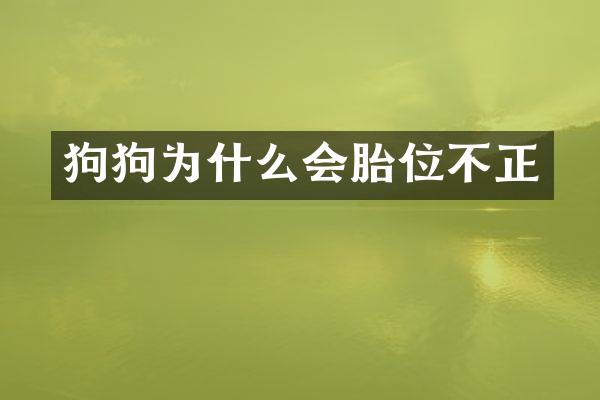狗狗为什么会胎位不正