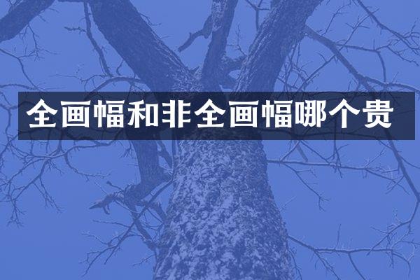 全画幅和非全画幅哪个贵