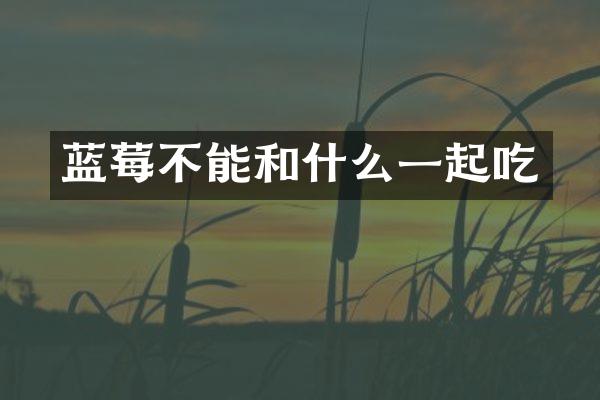 蓝莓不能和什么一起吃