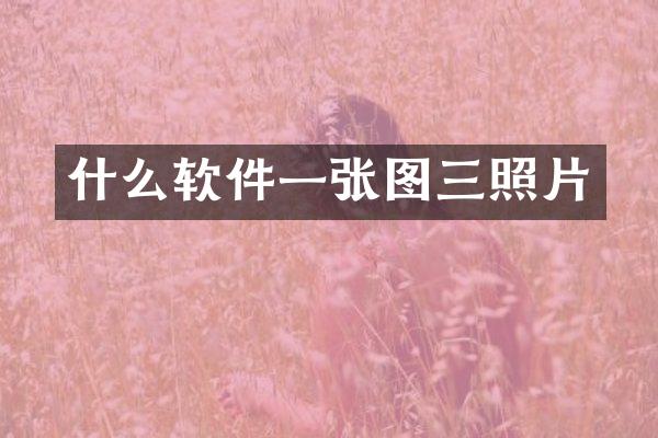 什么软件一张图三照片