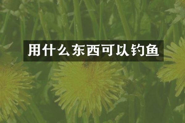 用什么东西可以钓鱼