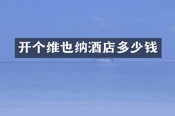 开个维也纳酒店多少钱