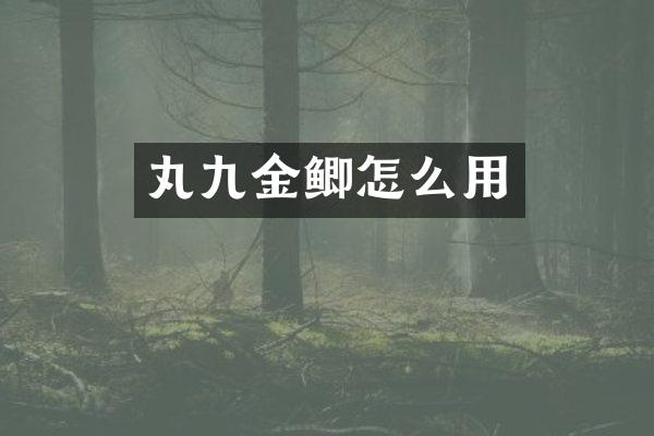 丸九金鲫怎么用