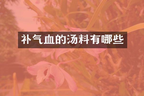 补气血的汤料有哪些