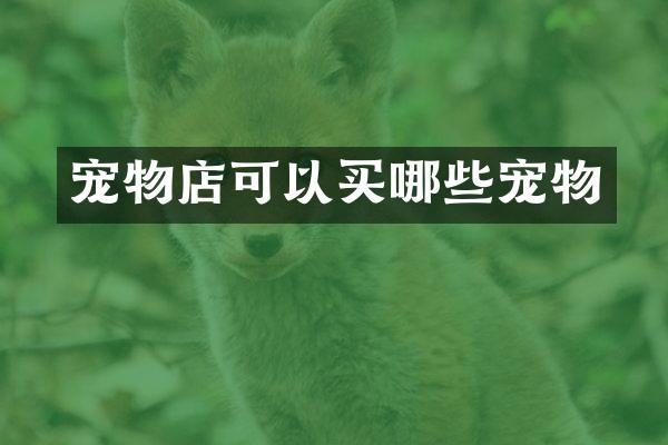 宠物店可以买哪些宠物