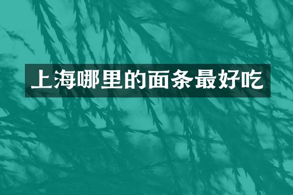 上海哪里的面条最好吃