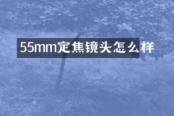 55mm定焦镜头怎么样