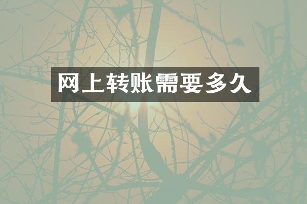 网上转账需要多久