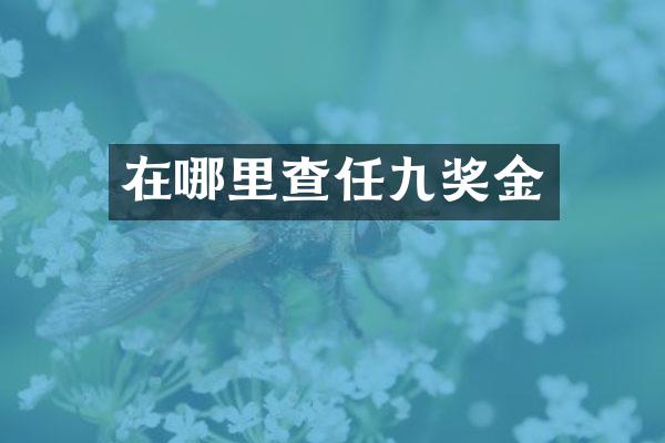 在哪里查任九奖金
