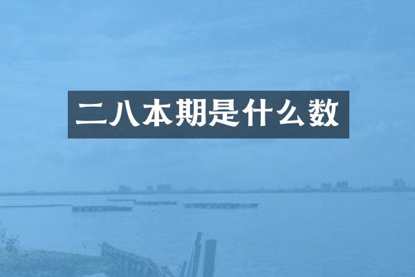 二八本期是什么数