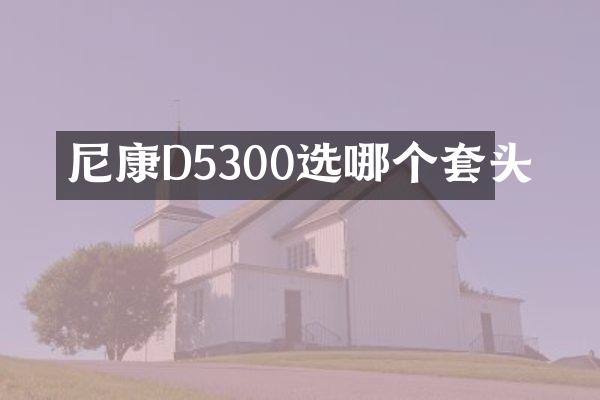 尼康D5300选哪个套头