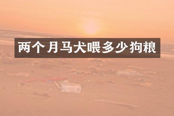 两个月马犬喂多少