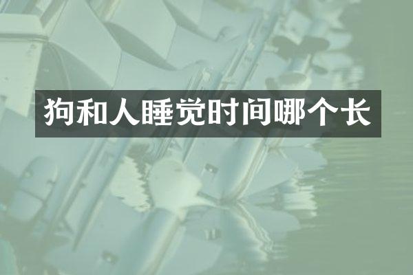 狗和人睡觉时间哪个长