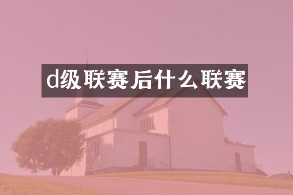 d级联赛后什么联赛