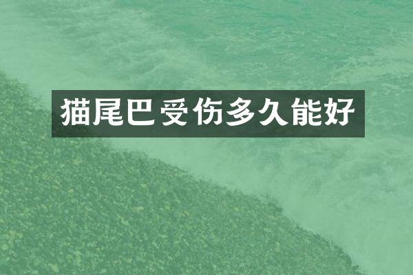 猫尾巴受伤多久能好