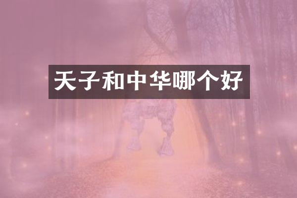 天子和中华哪个好