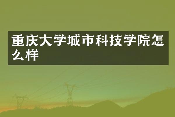 重庆大学城市科技学院怎么样
