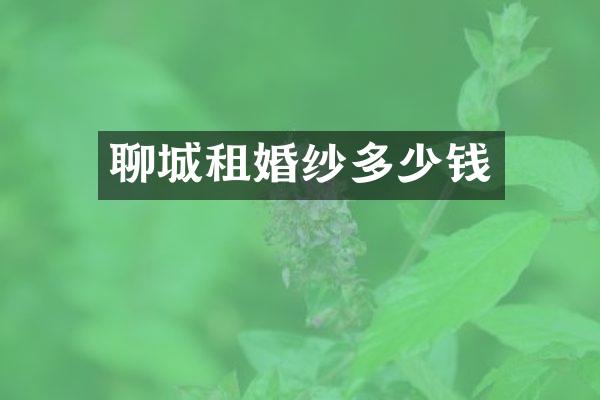 聊城租婚纱多少钱