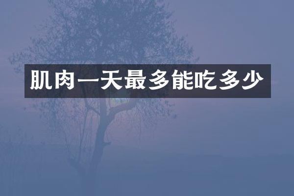 肌肉一天最多能吃多少