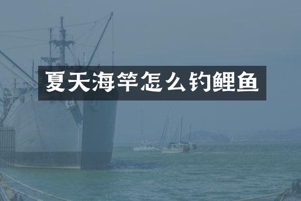 夏天海竿怎么钓鲤鱼