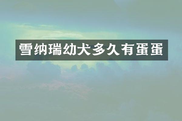 雪纳瑞幼犬多久有蛋蛋