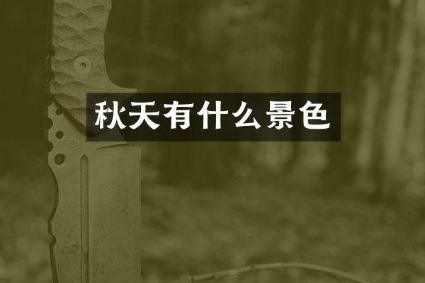 秋天有什么景色