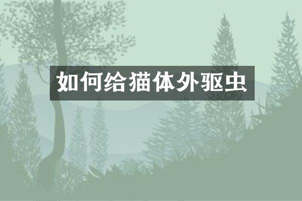 如何给猫体外驱虫